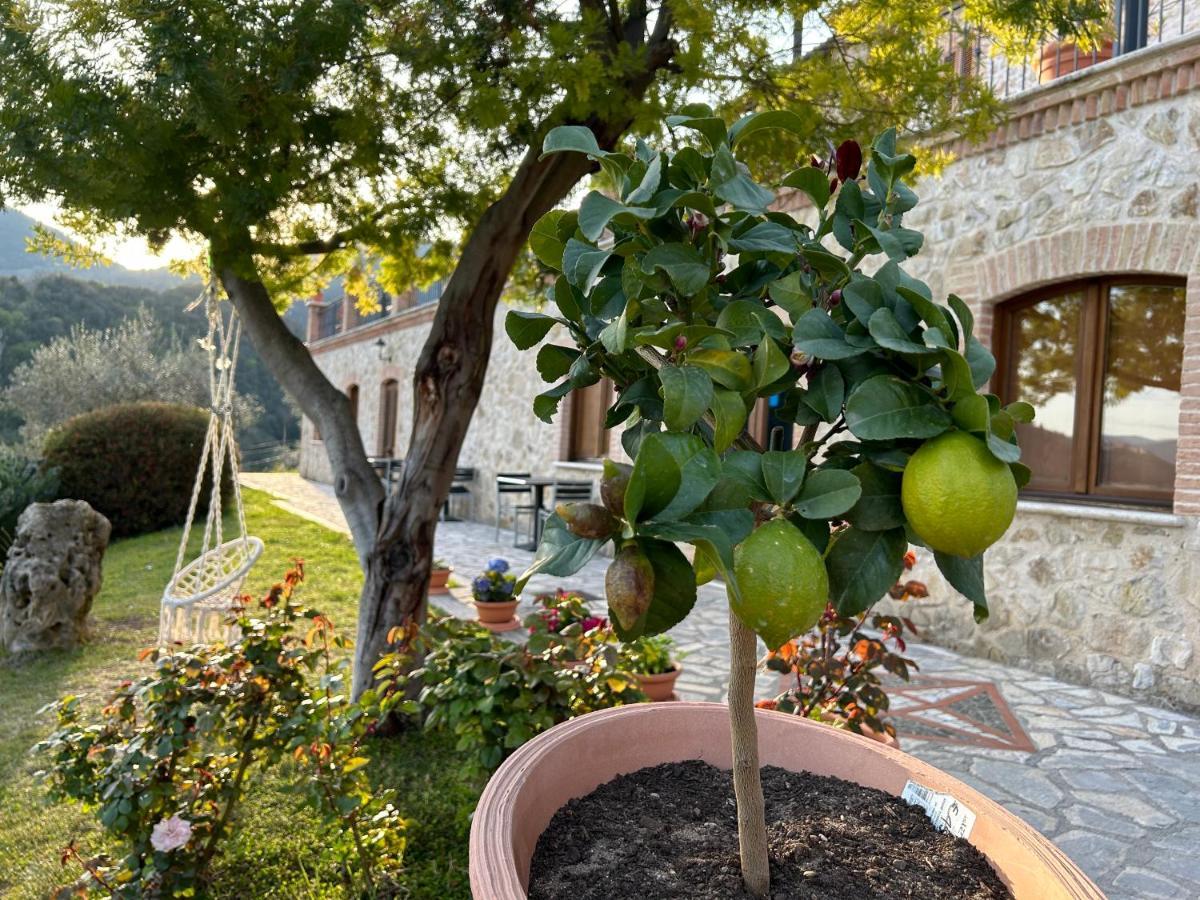 La Tenuta Dei Fiori Ferentillo Esterno foto
